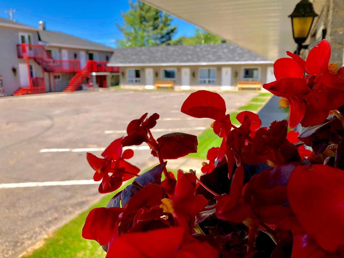 Motel Chantmartin Тадуссак Екстер'єр фото